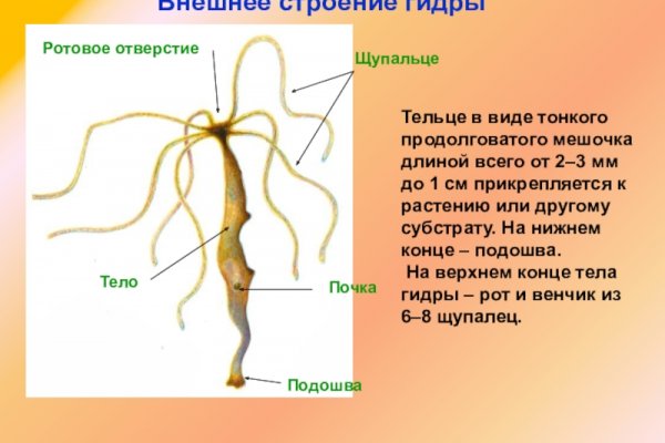 Кракен даркнет регистрация